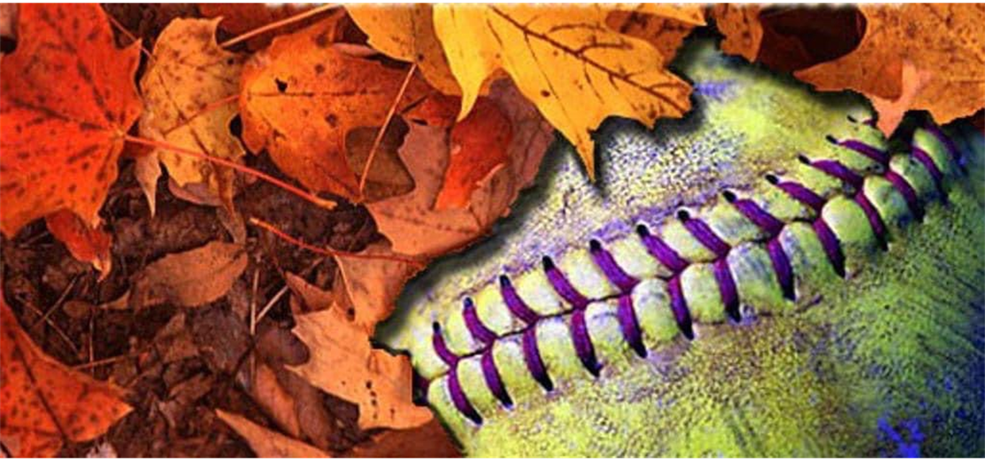 Fall Ball 2022 Registration - OPEN NOW! Click to see available programs.