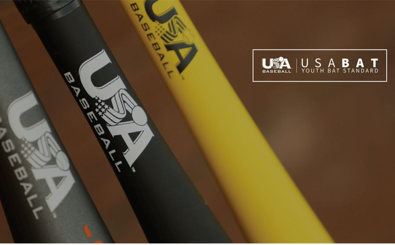 Bat Buying Guide For 2025